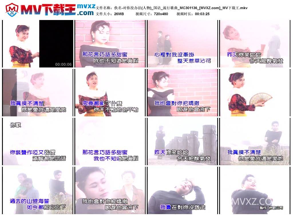 佚名-对你没办法(人物)_国语_流行歌曲_MC301136